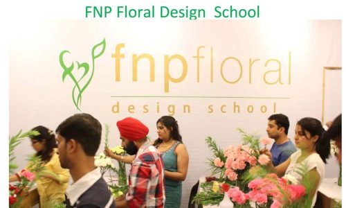 fnp