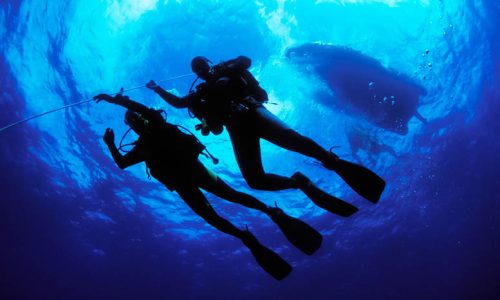 locadives locadives