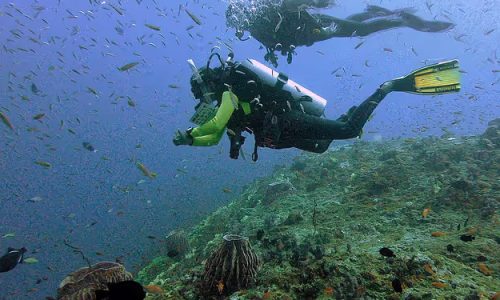 scuba scuba